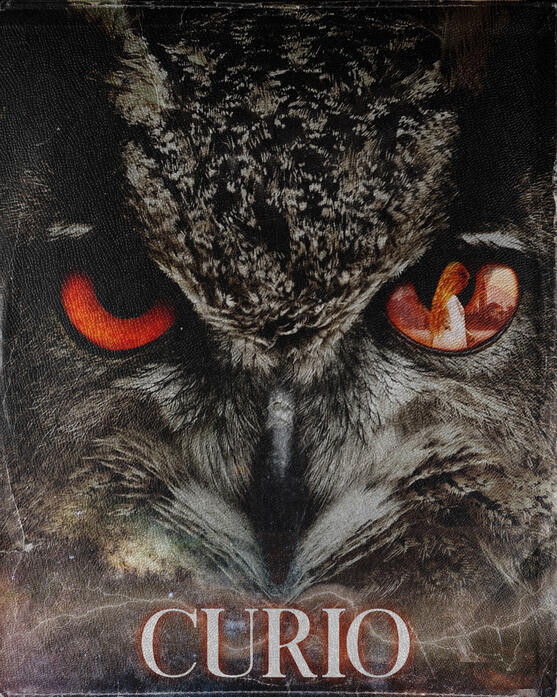 CURIO - Maestro Eternal album artwork and special edition poster